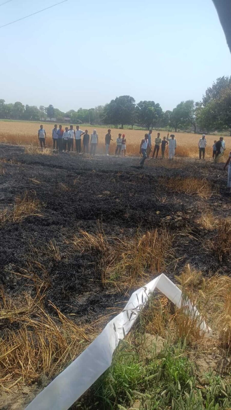 बिजली का तार टूटने से किसान के खेत में लगी आग, गेहूं की फसल जली
